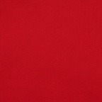 Red Hooded Crop Top