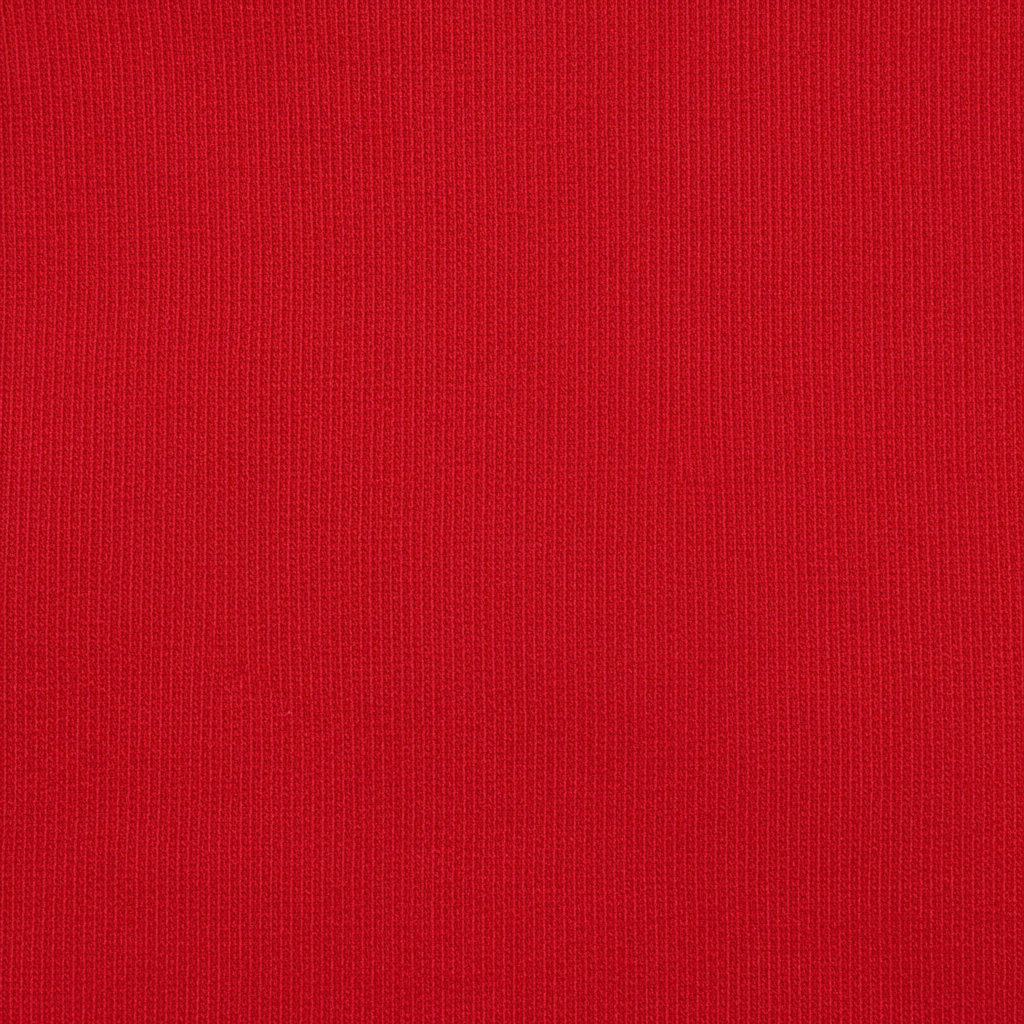 Red Hooded Crop Top